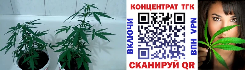 Дистиллят ТГК концентрат  Краснозаводск 