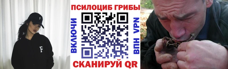 где можно купить   Краснозаводск  Псилоцибиновые грибы GOLDEN TEACHER 